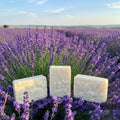 Lavender Bliss Soap Bar